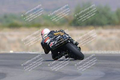 media/Oct-01-2023-SoCal Trackdays (Sun) [[4c570cc352]]/Turn 14 Backside (1120am)/